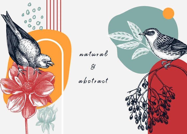 Collage style bird background. Sketched bird trendy frame. Creative background with botanical illustration, geometric shapes, and abstract elements. Perfect for print, wall art, packaging